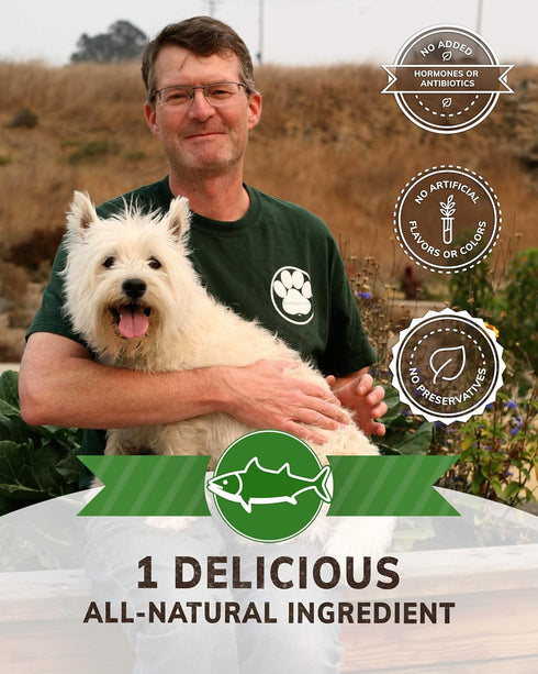 Wiley's Snaps Healthy Dog Treats, Human-Grade, Salmon, 2-pack, 4 oz
