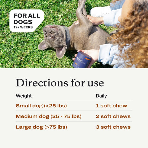 PetLab Co. Itch Relief Chews for Dry, Occasionally Itchy Skin & Coats, Formulated with Turmeric, Omega 3 & 6, Honey