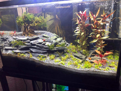 Natural Slate Rocks - PH Neutral Stone for Aquariums, Landscaping Model, Tank Decoration, 3.5 LB, 3-5 inch