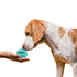 SunGrow 2-Pack Dog Treat Balls, Interactive Puzzle Food Dispensers for Small Dog Training, Mental Stimulation