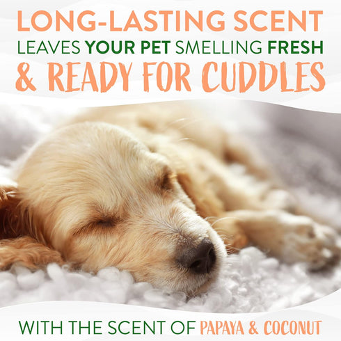 TropiClean Papaya & Coconut Dog Wipes for Paws and Butt, Deep Cleaning Grooming Wipes, Safe for Face, 100 Count