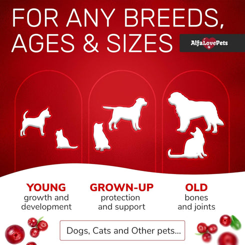 Dog and Cat Vitamins and Supplements ? Multivitamins for Dogs ? Hip & Joint Pet Vitamins ? Made in USA ? 2Oz