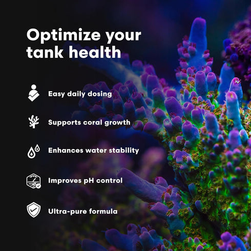 500 ml Brightwell Aquatics pH+ Alkalinity and pH Booster for Marine & Reef Aquariums Increases pH and KH Stability