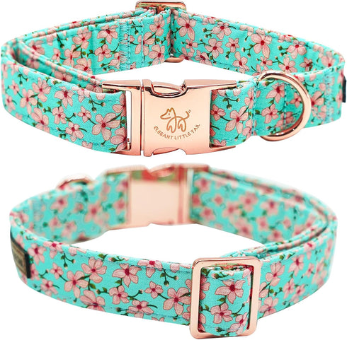 Elegant Little Tail Dog Collar | Pink Floral Print Cotton Collar with Metal Buckle for Small Dogs