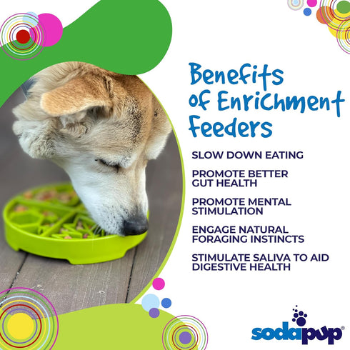 SodaPup Four Seasons Enrichment Bowl - Durable Slow Feeder Made in USA for Healthy Digestion