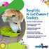SodaPup Four Seasons Enrichment Bowl - Durable Slow Feeder Made in USA for Healthy Digestion