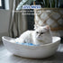 COCOYO Crystal Cat Litter, Silica Gel Cat Litter, 17.2 Lbs Value Pack (4.3 Lbs x 4)
