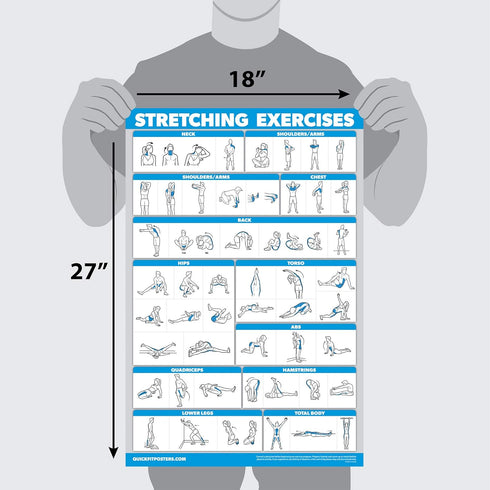 Quick Fit Bodyweight Workouts and Stretching Exercise Poster Set, Laminated 2 Chart Set for Routine & Stretching