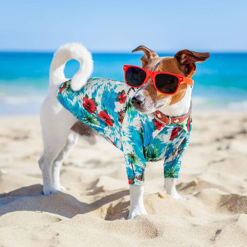 4 Pieces Hawaiian Dog Shirts with Coconut Tree Print, Pet T-Shirts for Small to Medium Dogs and Cats (Medium)