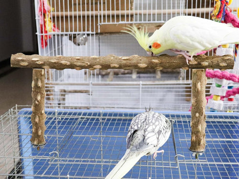 Large Bird Perch Stand, Natural Pepper Wood Bird Parrot Stand Branch, Wooden Bird Supply, Birdcage Accessories for Parrot Parakeet Cockatiels Conures Lovebirds Budgies 15.6×6.7 Inches