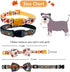 2 Pack Halloween Dog Collar with Bowtie - Holiday Jack-O-Lantern and Pumpkin Collar for Small Medium Large Dogs