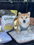 6 Oz 96% Freeze Dried Dog Food for Small & Large Breeds Dogs, Chicken Dog Food Toppers for Picky Eatres, Made in USA