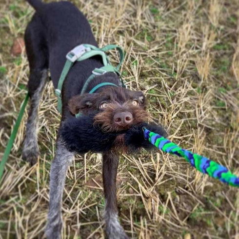 Tug-E-Nuff WondaBaa Bungee Tug Toy for Dogs - Durable Interactive Training Toy in 3 Colours, Size 23 x 3 inches