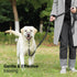 SVD.PET No-Pull Dog Headcollar for Easier Walks, Chew-proof Protector for Small and Medium Size Dogs