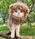 Lion Mane Wig for Cat Costume, Adjustable Washable Fancy Hair Dress for Halloween, Christmas, Easter (Brown)