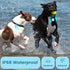 Dog Lights 2-Pack LED Rechargeable Collar Lights Clip-On with RGB Color Safety Lights for Night Walking Camping