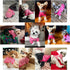 Jecikelon Dog Clothes, Soft Puppies Sweater Winter Outfit for Dogs Small XXS XS Cat Apparel (Large, Rose Red)