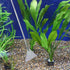15in Aquascape Tools, 4 in 1 Long Aquarium Tweezers, Scissors, Spatula Set for Aquatic Plants and Terrariums