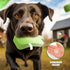 Funny Dog Toys with Squeaker, Cute Parody Dog Toys for Small, Medium, and Large Dogs, Dog Birthday Gifts, Mint