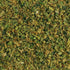 Backpacking, 6 Harmony House Foods Dehydrated Cabbage Flakes - Air Dried Vegetables for Soup and Cooked Dishes, Great