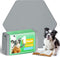 FXW Washable Pee Pads for Dogs, Leak-Proof & Non-Slip, Specifically Designed for