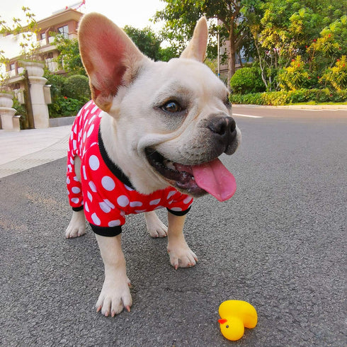 CuteBone Dog Christmas Pajamas, Small Dogs Soft Pjs Coat, Comfy Pet Clothes Outfit Doggie Bodysuit P65M