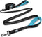 Black Rhino Heavy Duty Dog Leash for Medium and Large Dogs - 6 ft Long Double Handle Leash with Padded Control Handles