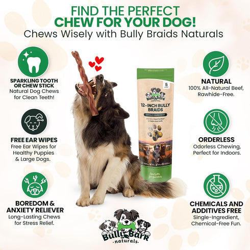 12 3 Count 100% Odor Free Braided Bully Sticks for Dogs - - Natural Grass-Fed Beef Braided Dog Chews, High Protein