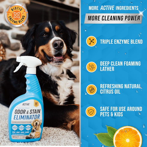 32 oz Pet Odor and Stain Eliminator - ACTIVE Enzyme Cleaner for Dog & Cat Urine, Stain Remover Spray for Carpet