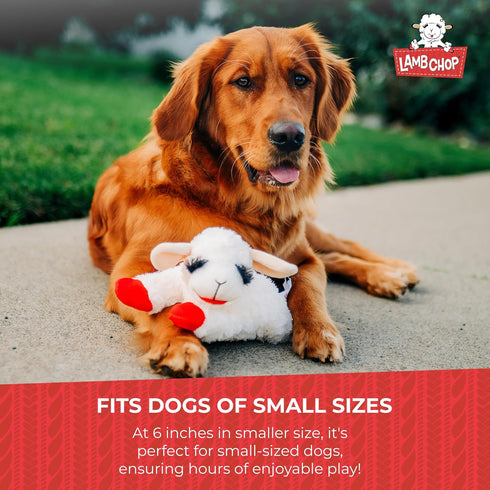 Multipet Lamb Chop Dog Plush Toy, Squeaky Toy for All Dogs, Extra Soft Plush, 6", Cream