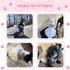 Fashion Pet Dog Dresses, Striped Mesh Puppy Clothes (Blue, X-Small)