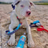 Bodhi Dog Sunscreen - Large 8oz SPF 30+ | Moisturizing Pet Sunscreen for Dogs, Cats, Horses, Natural Skin Protection
