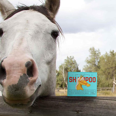 100% 3.5 oz J.R.LIGGETT'S Natural Horse Shampoo Bar - Non-GMO, Detergent-Free Formula Gently Deep Cleans and Supports