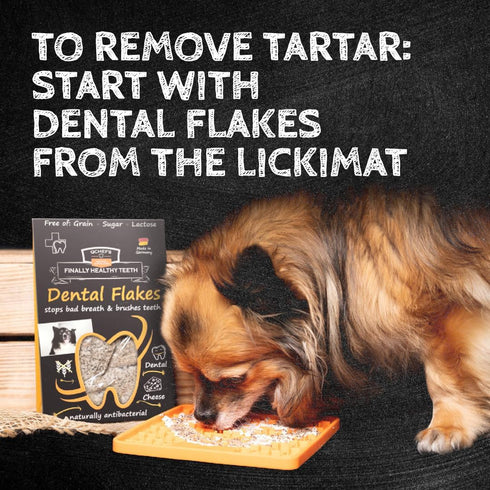 QCHEFS Dental Flakes for Dogs – One Month Supply - Food Topper, Oral Health Snack with Amino Acids