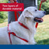 Coastal Pet Double-Ply Dog Leash - Nylon Walking Leash with Bolt Snap Attachment for Small, Medium & Large Dogs - Red -