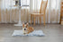 PJYuCien Fluffy Fleece Calming Pet Throw Blanket, Super Soft and Warm for Indoor Cats and Dogs, Small 16 * 24", Grey