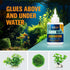 Aquarium Super Glue for Mosses and Plants, 50g for Freshwater and Saltwater Aquariums