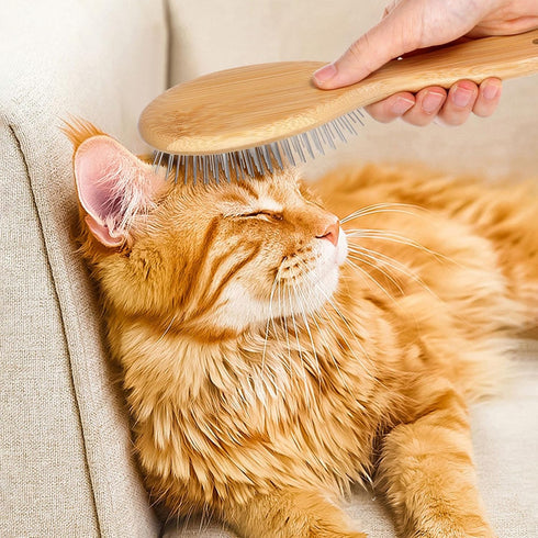 Stainless Steel Pin Dog Brush with Bamboo Handle, Professional Grooming Brush for Long or Short Hair