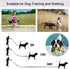 10ft Red Dog Leash - Long Line Training Leash for Large, Medium, and Small Dogs, Great for Parks and Fetch