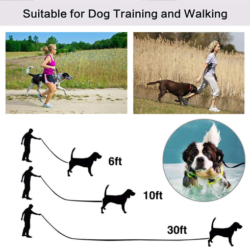 10ft Dark Green Dog Leashes, Extra Long Traditional Style Leads for Large, Medium & Small Dogs