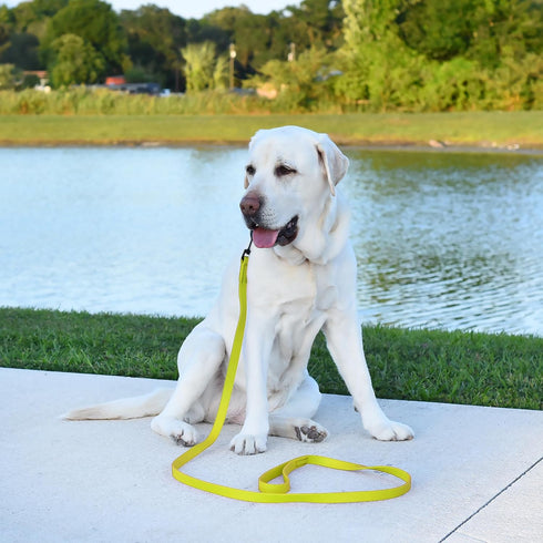 Dogline Biothane Waterproof Dog Leash, Strong Coated Nylon Webbing, 4 or 6 ft Lead for Small or Large Dogs