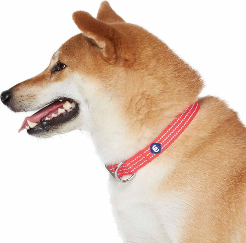 Blueberry Pet Essentials Matching Small Dog Collar - Adjustable Classic Solid Color Nylon Reflective Fiery Red Collar