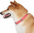 Blueberry Pet Essentials Matching Small Dog Collar - Adjustable Classic Solid Color Nylon Reflective Fiery Red Collar