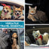 TYTDOUTER 2 Pack Adjustable Dog Seat Belt for Car, Pet Safety Belts for Vehicles, Heavy-Duty Nylon Puppy Harness