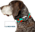 Dog Collar Seatbelt Buckle, Red Roses Polka Dots, Turquoise, 9 to 15 Inches, 1.0 Inch Wide