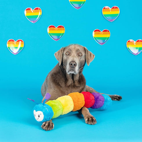 24 Inches (314050) Fringe Studio Large Plush Dog Toy, Don't Bug ME, PetShop Collection