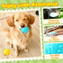 10-Pack Set Forfon Curated Dog Puzzle Toys for Boredom and Mental Stimulation, Enrichment Toy with Slow Feeder Bowl