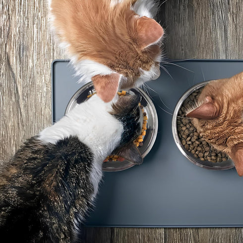 4 Pcs Stainless Steel Cat Bowls, 7.1 Inches Metal Cat Food Bowls, Whisker Fatigue Shallow Dish, Elevated Food Bowls for