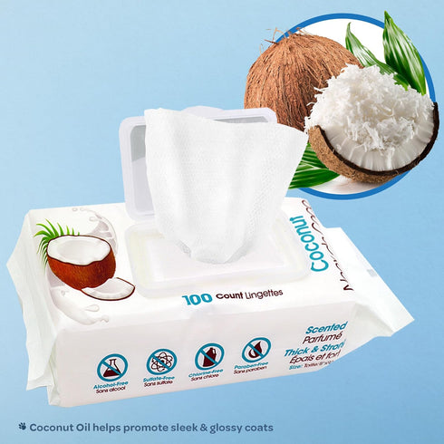 Best Pet Supplies 8" x 9" Pet Grooming Wipes, 100 Pack for Dogs & Cats, Plant-Based Deodorizer