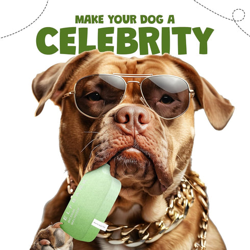 Funny Dog Toys with Squeaker, Cute Parody Dog Toys for Small, Medium, and Large Dogs, Dog Birthday Gifts, Mint